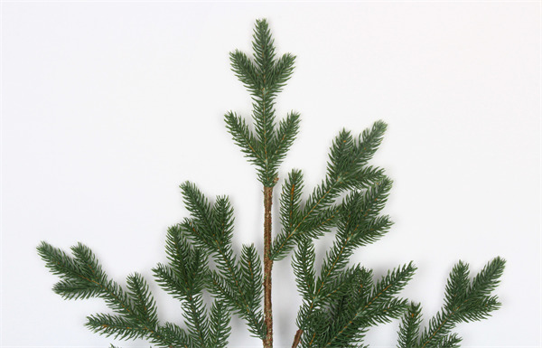 Artificial Branches for Xmas Tree