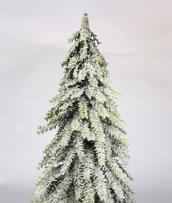 Pine Tree for Christmas for Christmas Decor