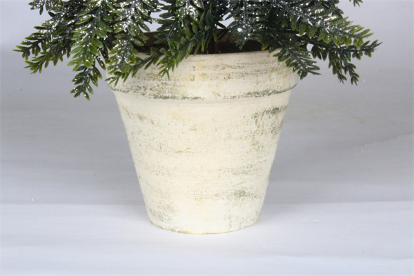 Pine Tree for Christmas green finish