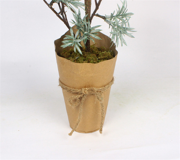 Christmas Cedar Trees in Paper Pot