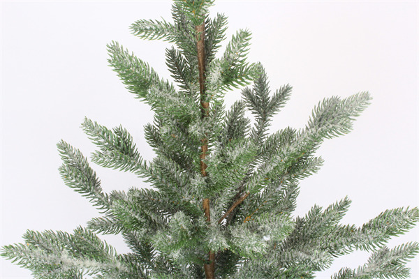 Cedar Trees for Christmas Xmas Decorations