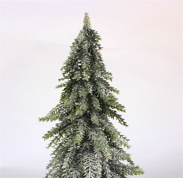 Cedar Trees for Holiday Party Home