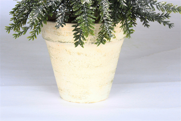 Cedar Trees for Holiday Party Home