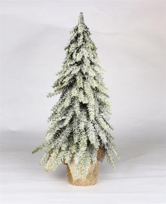 Pine Tree for Christmas for Christmas Decor