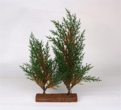 Pine Tree with Wood Base