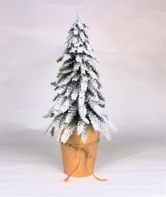 Christmas Cedar Trees for Home Decoration