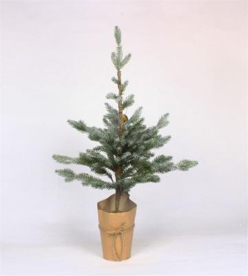 Christmas Cedar Trees for Home Party