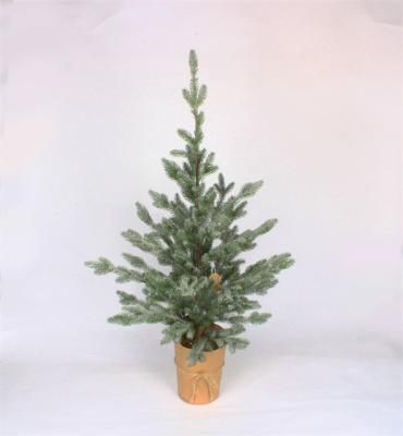 Cedar Trees for Christmas Xmas Decorations