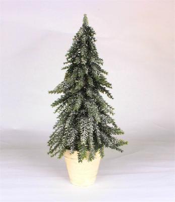 Cedar Trees for Holiday Party Home