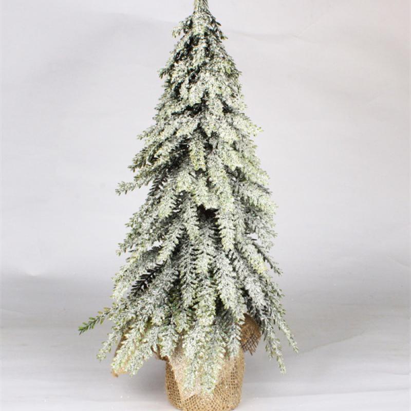 Pine Tree for Christmas for Christmas Decor