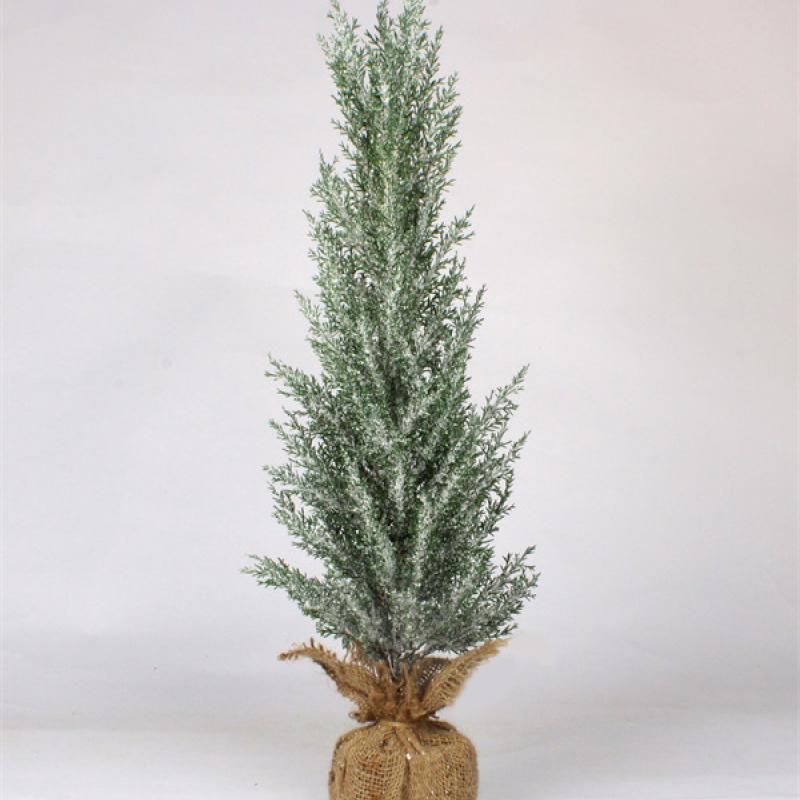 Pine Tree for Christmas for Home Party