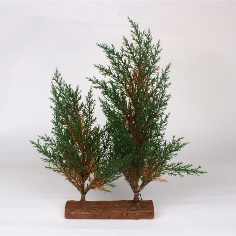 Pine Tree with Wood Base