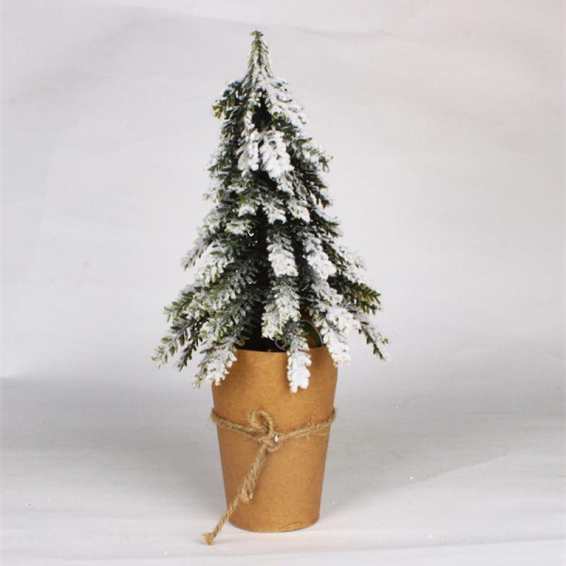 Cedar Trees for Christmas in Original Packaging