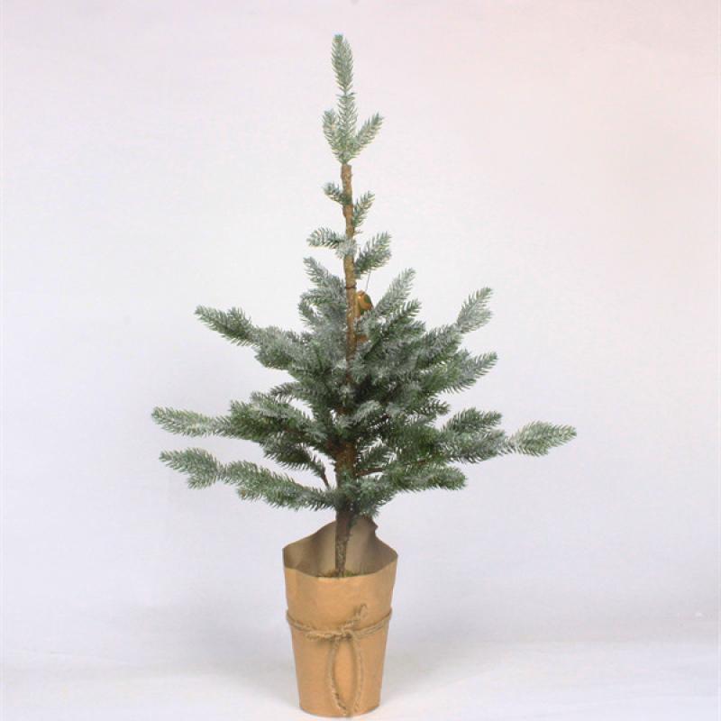 Christmas Cedar Trees for Home Party