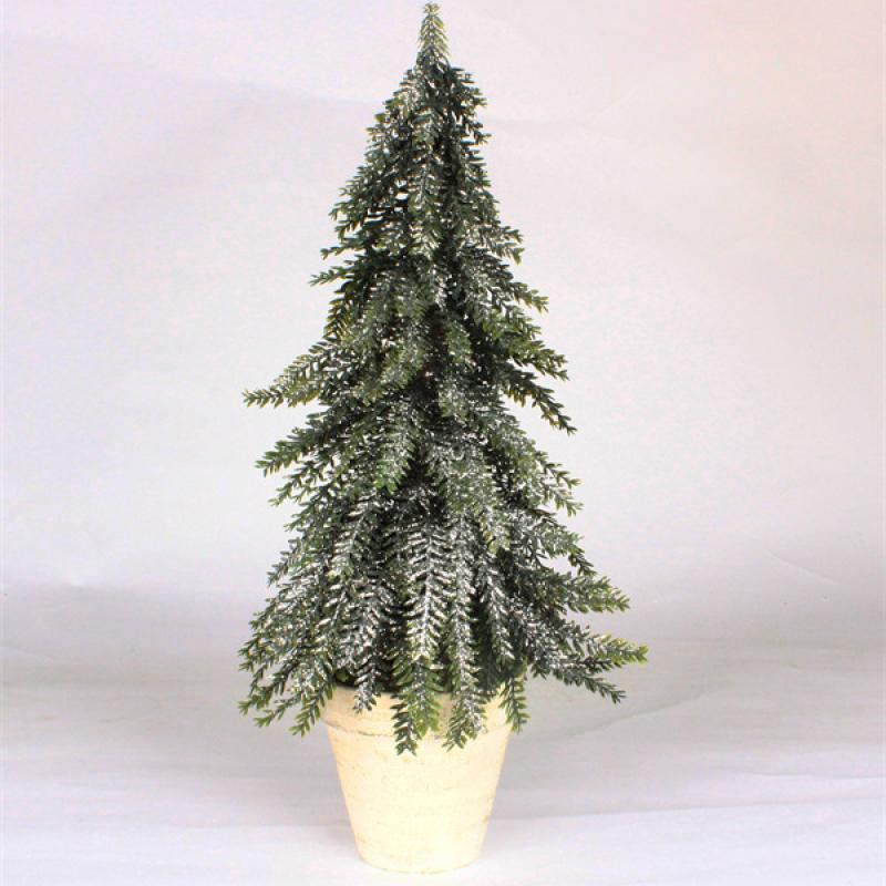 Cedar Trees for Holiday Party Home